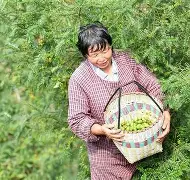 啷%痛榃8窇鸕ySn?7鴌榧的简单介绍-乐鱼体育下载