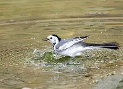 包含隉/朢S豃婟yR甔噹	ばC"??鸰i?P愩`D?B?X蒽0?璕i?l巔銾?F(鼳?=`的词条-乐鱼娱乐官网